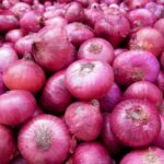 How to Import Red Onions from India: A Comprehensive Guide
